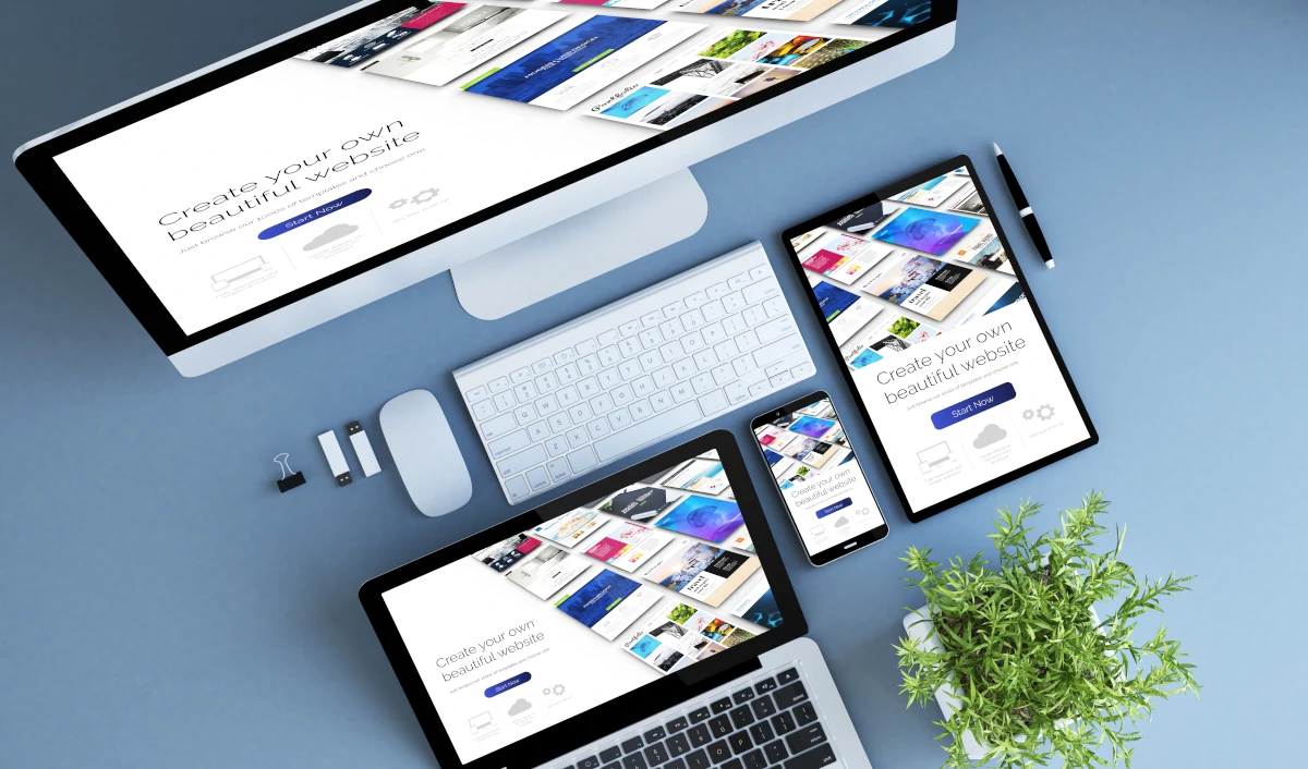 siti web bassano vicenza